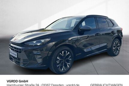 Cupra Terramar Gebrauchtwagen