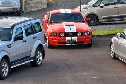 Ford Mustang Gebrauchtwagen