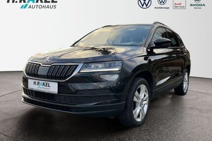 Skoda Karoq Gebrauchtwagen