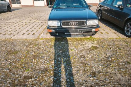 Audi V8 Gebrauchtwagen
