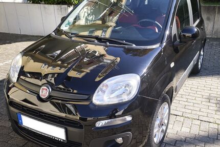 Fiat New Panda Gebrauchtwagen