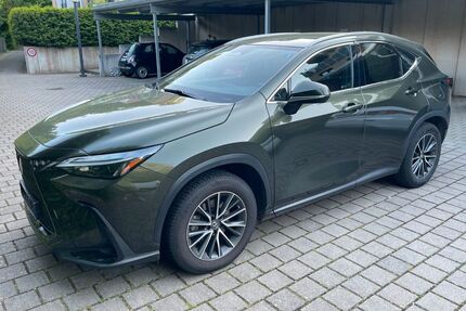 Lexus NX 350h Gebrauchtwagen