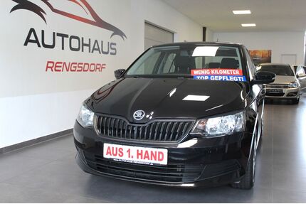 Skoda Fabia Gebrauchtwagen