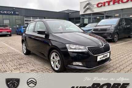 Skoda Fabia Gebrauchtwagen