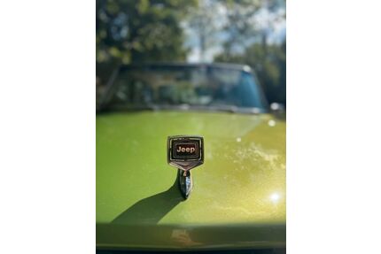 Jeep Wagoneer Gebrauchtwagen