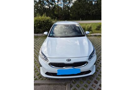 Kia ceed / Ceed Gebrauchtwagen