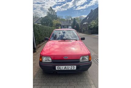Ford Escort Gebrauchtwagen