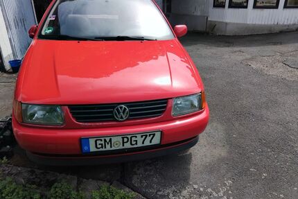 VW Polo Gebrauchtwagen
