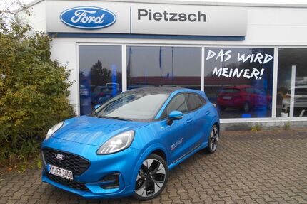 Ford Puma Gebrauchtwagen