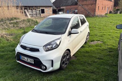 Kia Picanto Gebrauchtwagen