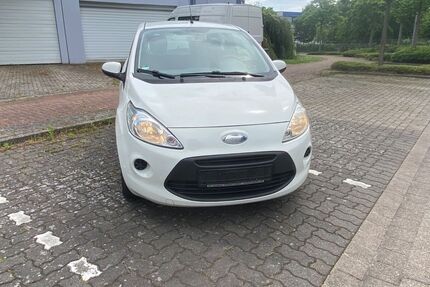 Ford Ka/Ka+ Gebrauchtwagen