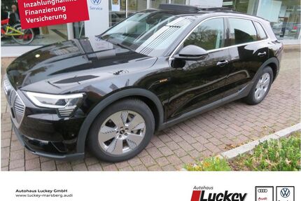 Audi e-tron Gebrauchtwagen