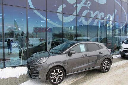 Ford Puma Gebrauchtwagen