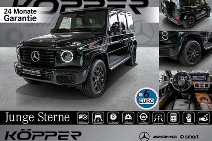 Mercedes-Benz G 450 Gebrauchtwagen