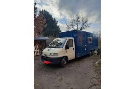 Peugeot Boxer Gebrauchtwagen