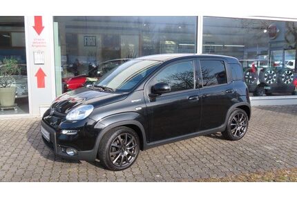 Fiat Panda Gebrauchtwagen