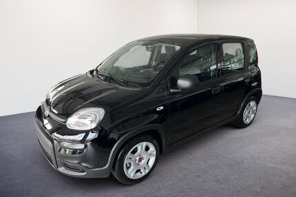 Fiat Panda Gebrauchtwagen