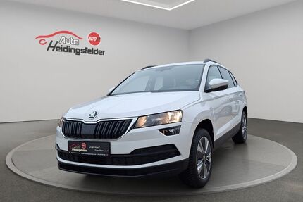 Skoda Karoq Gebrauchtwagen