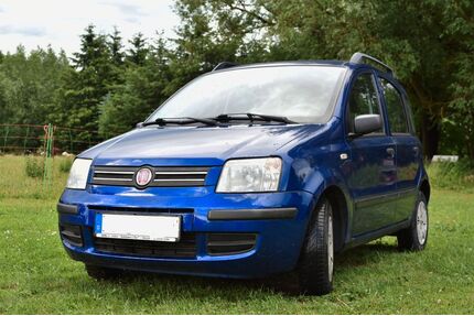 Fiat Panda Gebrauchtwagen