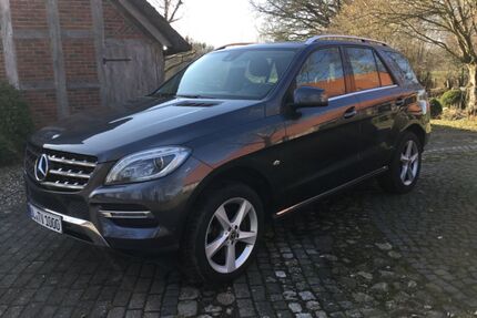 Mercedes-Benz ML 250 Gebrauchtwagen