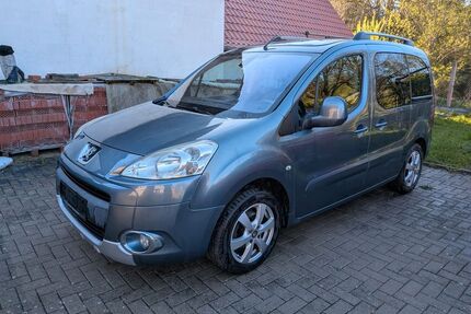 Peugeot Partner Tepee Gebrauchtwagen