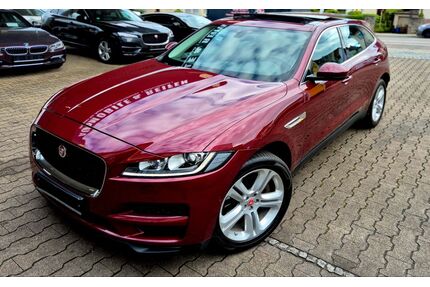 Jaguar F-Pace Gebrauchtwagen
