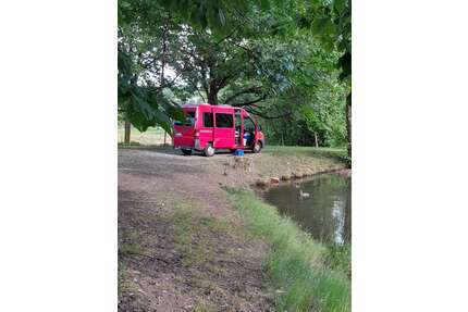 Fiat Ducato Gebrauchtwagen