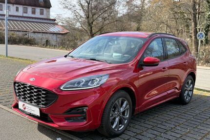 Ford Kuga Gebrauchtwagen