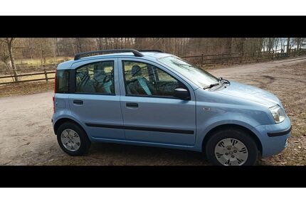 Fiat Panda Gebrauchtwagen