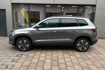 Skoda Karoq Gebrauchtwagen
