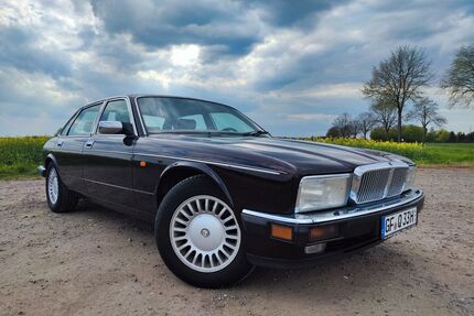 Jaguar Daimler Gebrauchtwagen