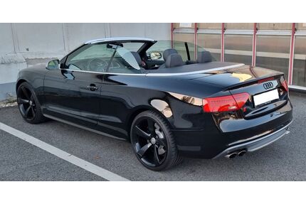 Audi S5 Gebrauchtwagen