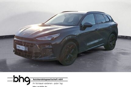 Cupra Terramar Gebrauchtwagen