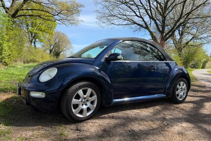 VW Beetle Gebrauchtwagen
