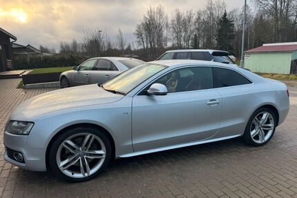 Audi S5 Gebrauchtwagen