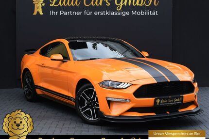 Ford Mustang Gebrauchtwagen