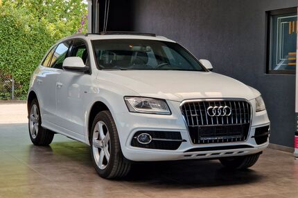 Audi Q5 Gebrauchtwagen