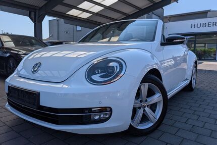 VW New Beetle Gebrauchtwagen