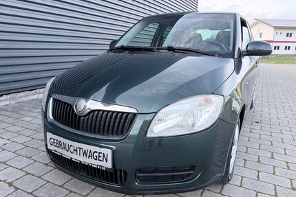 Skoda Fabia Gebrauchtwagen