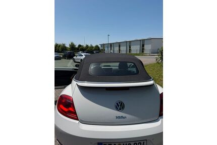 VW Beetle Gebrauchtwagen