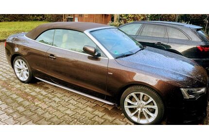 Audi A5 Gebrauchtwagen