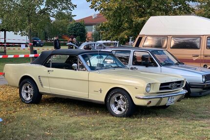 Ford Mustang Gebrauchtwagen