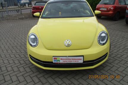 VW Beetle Gebrauchtwagen