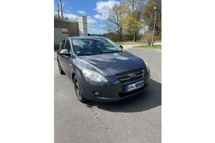 Kia ceed / Ceed Gebrauchtwagen