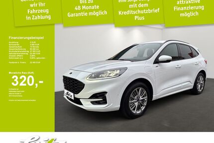 Ford Kuga Gebrauchtwagen