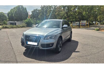 Audi Q5 Gebrauchtwagen