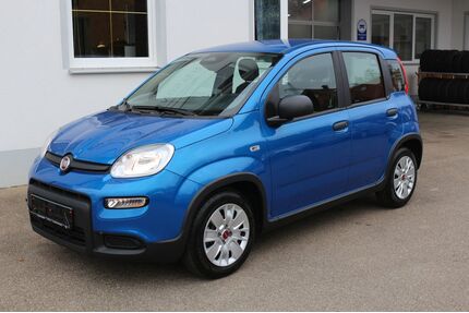 Fiat Panda Gebrauchtwagen