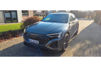 Audi Q8 e-tron Gebrauchtwagen