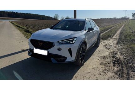 Cupra Formentor Gebrauchtwagen