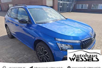 Skoda Kamiq Gebrauchtwagen